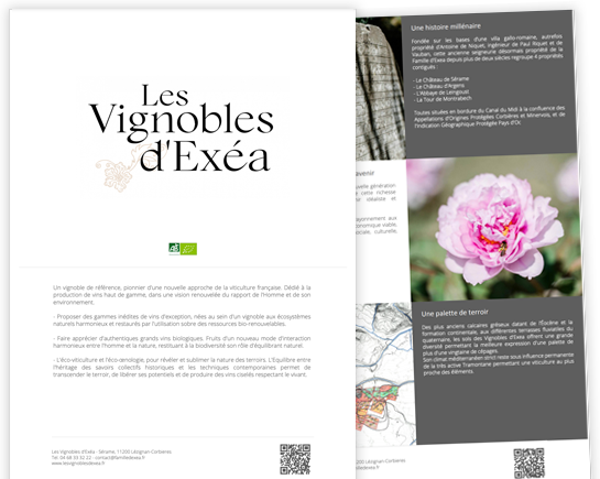 Brand presentation page from the vin.co PDF catalog
