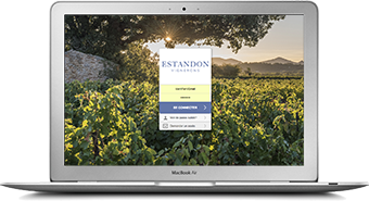 Integrating the vin.co extranet into a corporate website