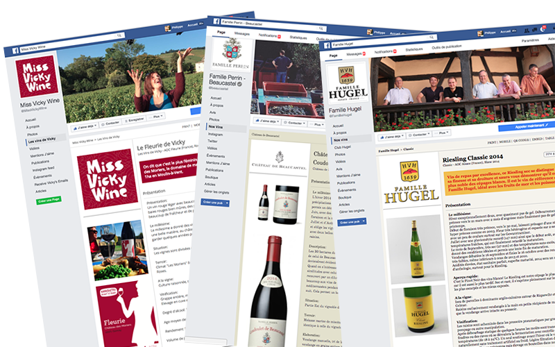 Customization of the vin.co Social Post application